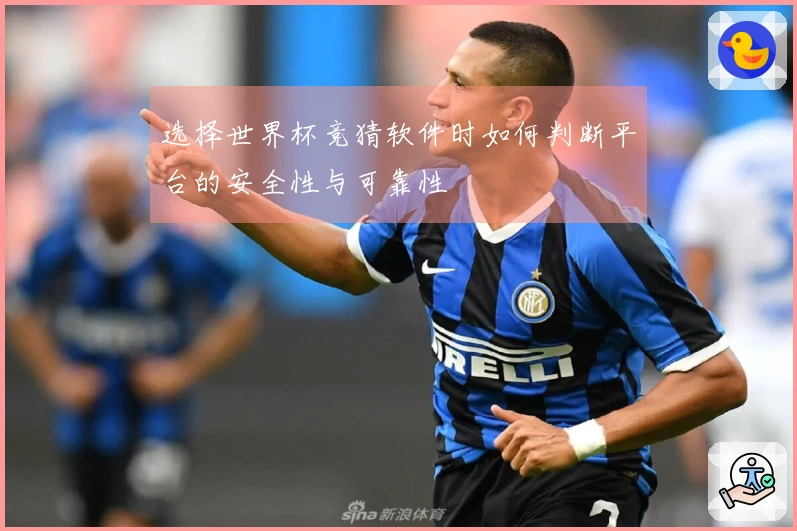 选择世界杯竞猜软件时如何判断平台的安全性与可靠性