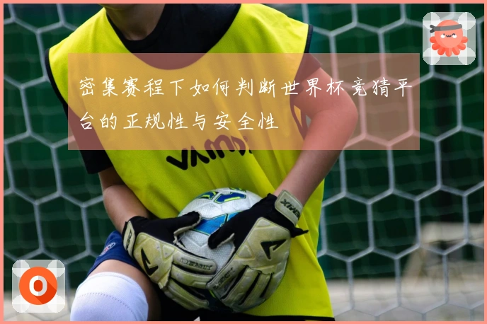 密集赛程下如何判断世界杯竞猜平台的正规性与安全性